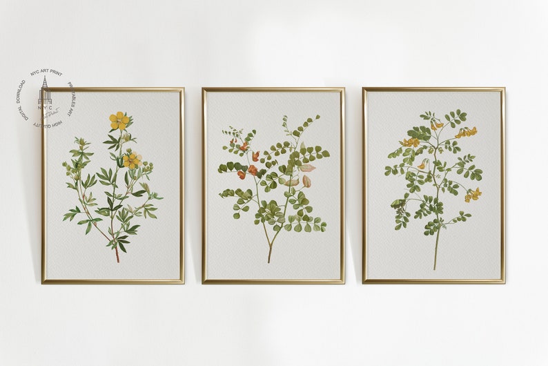Vintage Botanical Prints Gallery Wall Set of 8, Floral Poster ...