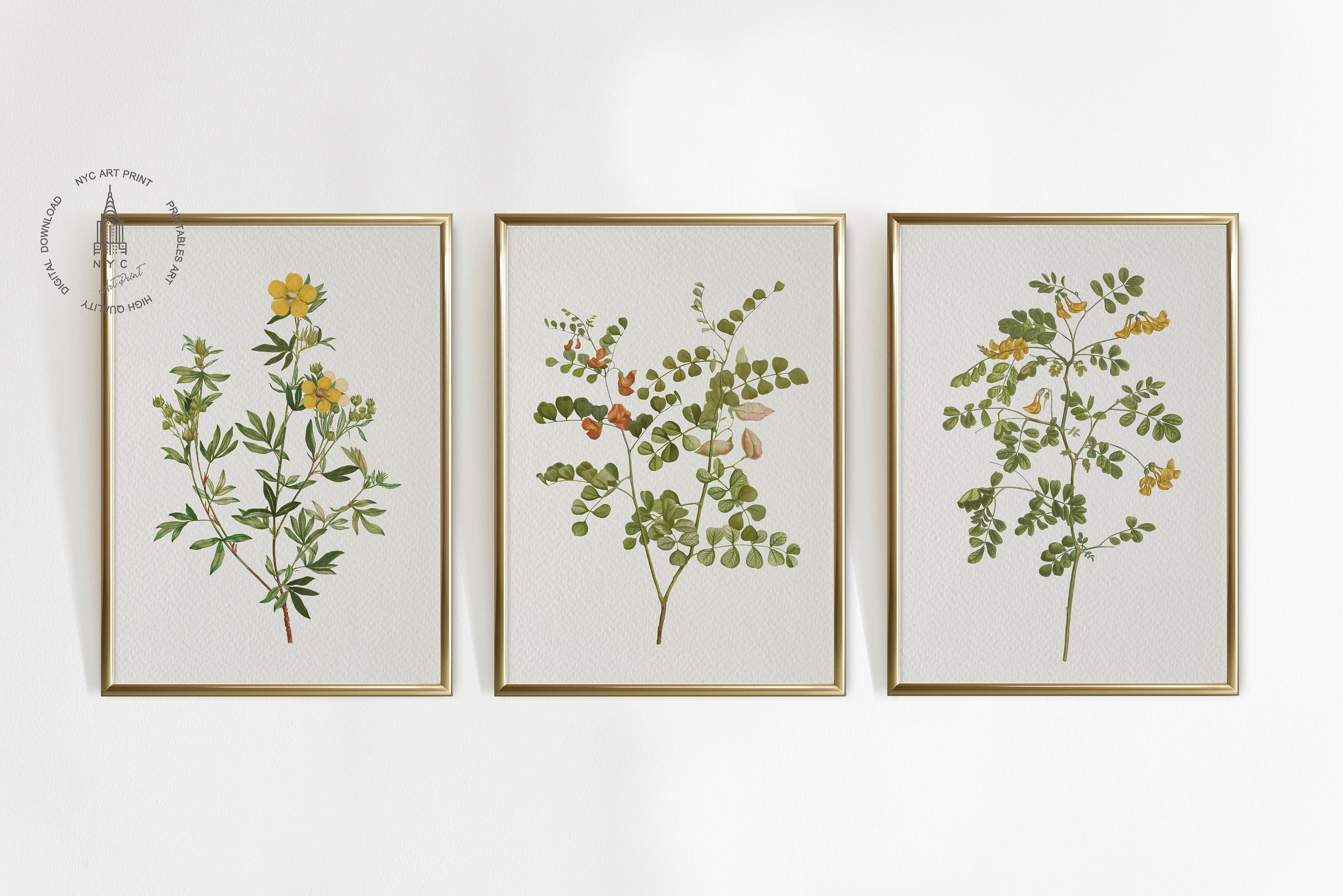 Vintage Botanical Prints Gallery Wall Set of 8, Floral Poster ...
