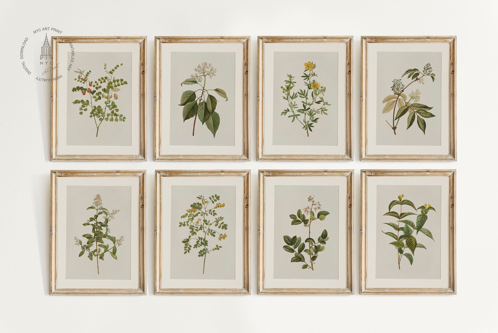 Vintage Botanical Prints Gallery Wall Set of 8, Floral Poster ...