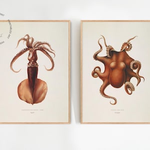 Set of 2 Vintage Squid Print, Octopus Print, Squid Painting, Coastal Wall Decor, Octopus Poster, Squid Wall Art Print, Marine Life Art