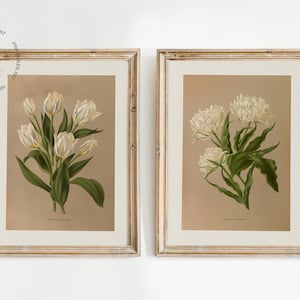 Puede incluir: Dos estampados bot&aacute;nicos enmarcados que presentan flores blancas con hojas verdes sobre un fondo beige. Las impresiones est&aacute;n en marcos simples de madera clara.