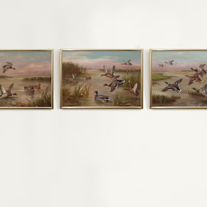 Set of 3 Ducks Print, Duck Art Print, Vintage Farm Animals Prints, Duck Wall Art, Farm Nursery Wall Art, Baby Room Decor, Nursery Decor