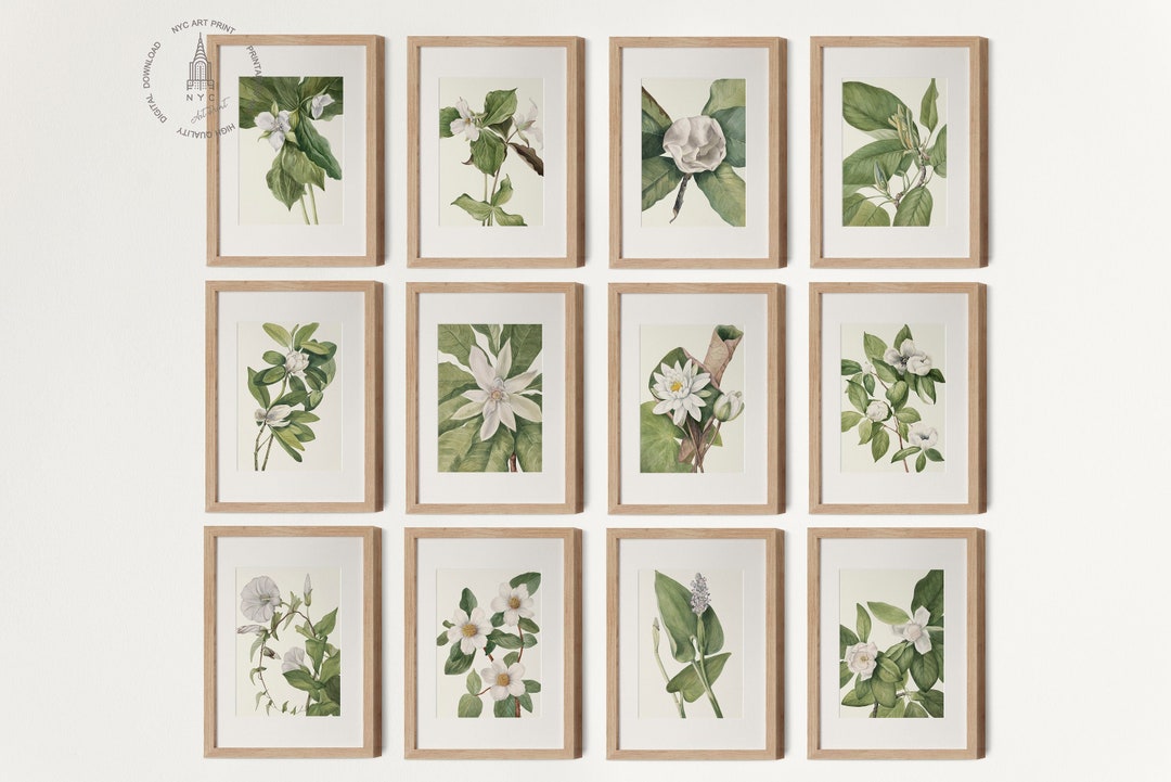 Vintage Neutral Botanical Prints Gallery Wall Set of 12, Antique ...