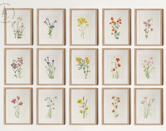 Vintage Botanical Prints Gallery Wall Set of 12, Floral Poster, Rustic ...