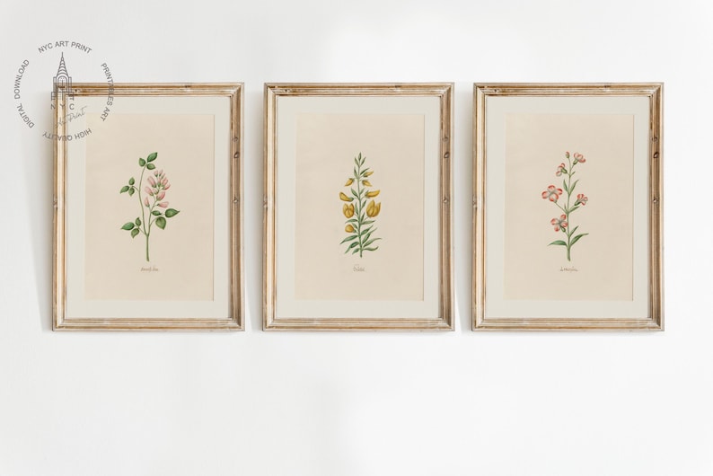 Vintage Botanical Prints Set of 15: Floral Watercolor Gallery Wall Art ...