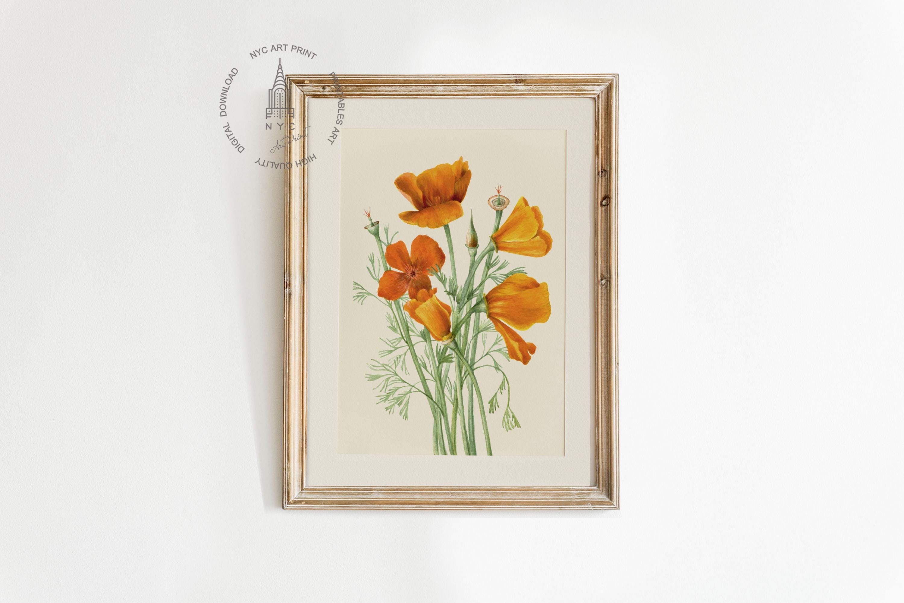 Vintage Poppy Print, California Poppy Print, Vintage Flower Painting, Poppies Art, Vintage Spring Summer Prints PP01