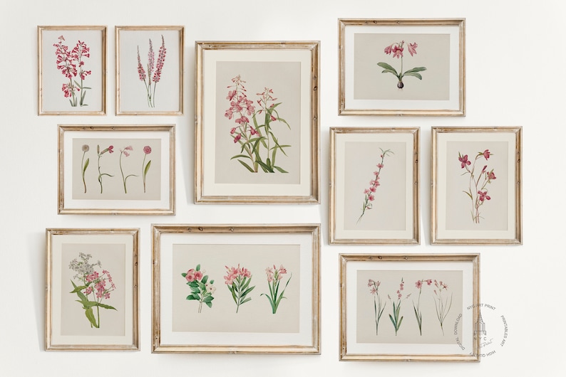 Vintage Botanical Prints Gallery Wall Set of 10, Pink Floral Poster ...