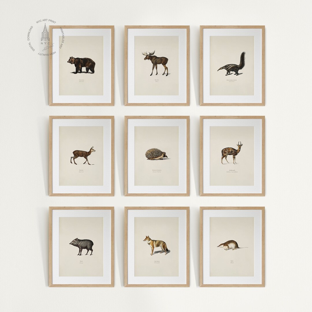 Woodland Animal Gallery Wall Set of 9, Woodland Nursery Art Prints ...