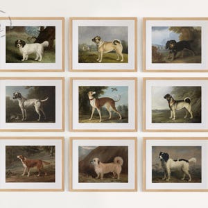 Vintage Dogs Gallery Wall Set of 9, Dog Print, Vintage Antique Dog Painting, Dog Wall Art, Farmhouse Decor, Dog Landscape, Dog Portrait DL02