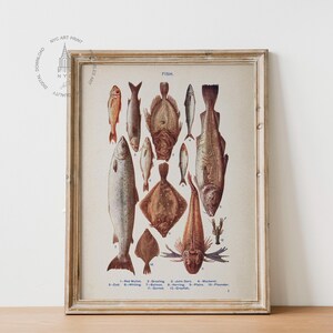 May include: A vintage illustration of various fish species, including cod, flounder, and herring. The image is in a wooden frame and features the word "FISK" at the top.