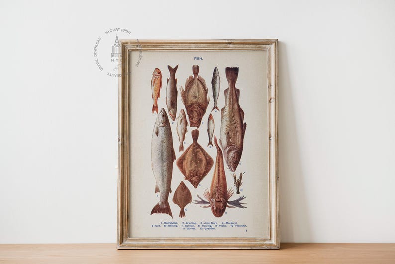 May include: A vintage illustration of various fish species, including cod, flounder, and herring. The image is in a wooden frame and features the word "FISK" at the top.