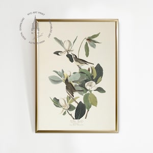 May include: Framed botanical print featuring two birds perched on a flowering magnolia branch. The artwork showcases detailed illustrations of the birds, white magnolia blossoms, and green leaves, set against a cream-colored background. The frame is gold.
