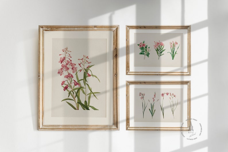 Vintage Botanical Prints Gallery Wall Set of 10, Pink Floral Poster ...