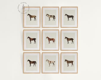 Vintage Horse Gallery Wall Set of 9, Horse Prints, Horse Painting, Equestrian Wall Art, Horse Decor, Farmhouse Decor, Horse Poster HC02