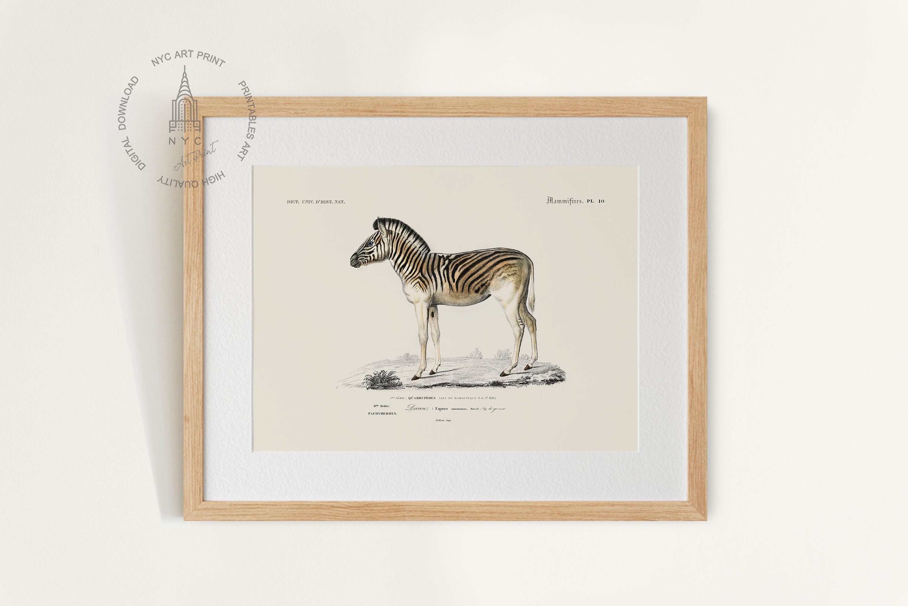 Safari Animal Gallery Wall Set of 9, Safari Nursery Art Prints, Vintage ...