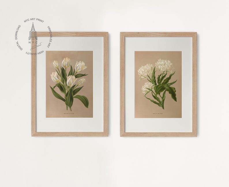 Puede incluir: Dos estampados bot&aacute;nicos enmarcados que muestran flores blancas con hojas verdes sobre un fondo beige. Las impresiones est&aacute;n en marcos de madera simples.