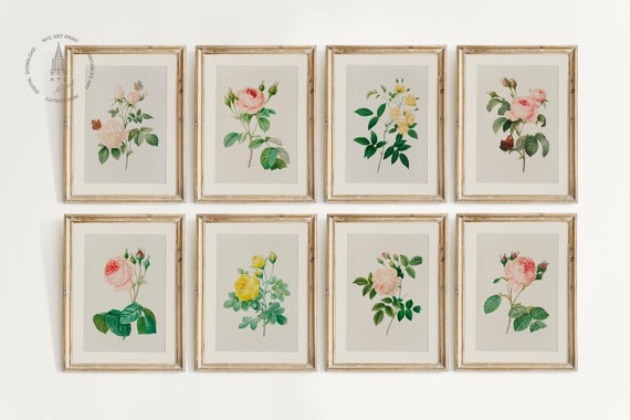Vintage Roses Prints Gallery wall Set of 8, Valentines Day Poster, Vintage Valentines prints, Valentines wall Art, Valentines Home Decor