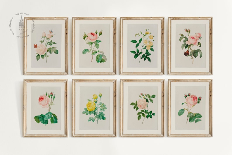 Op de afbeelding: Set van acht ingelijste botanische prints met verschillende soorten rozen in tinten roze, geel en wit. De prints zijn geplaatst tegen een witte achtergrond en zijn gerangschikt in een rasterpatroon.