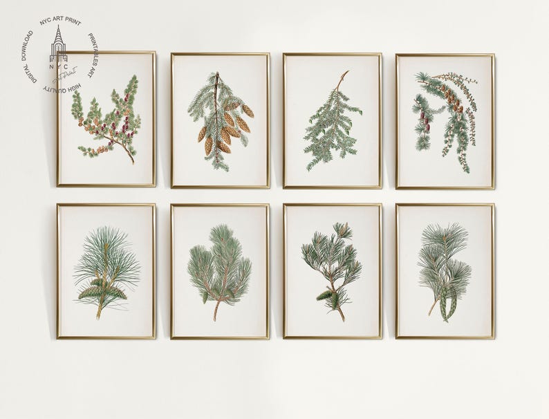 Antique Pine Cone Print | Holiday Botanical Wall Art | Winter Farmhouse Printable Art | Pine Branch Print | Country Christmas Wall Decor