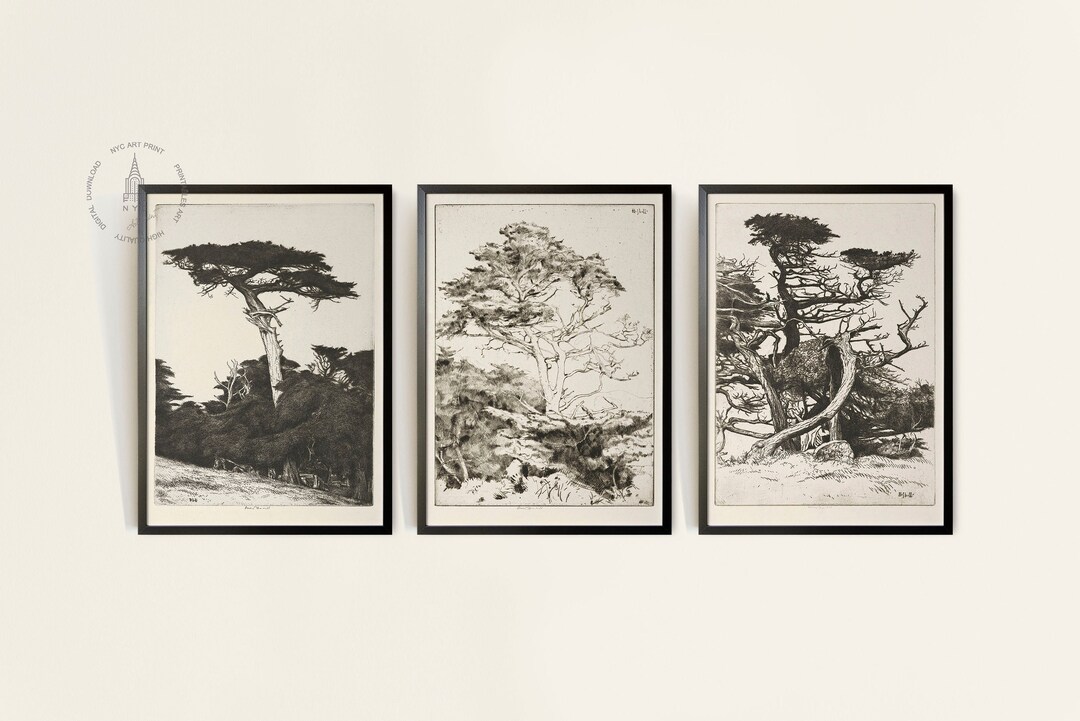 Vintage Rustic Tree Gallery Wall Set of 3, Vintage Tree Sketches