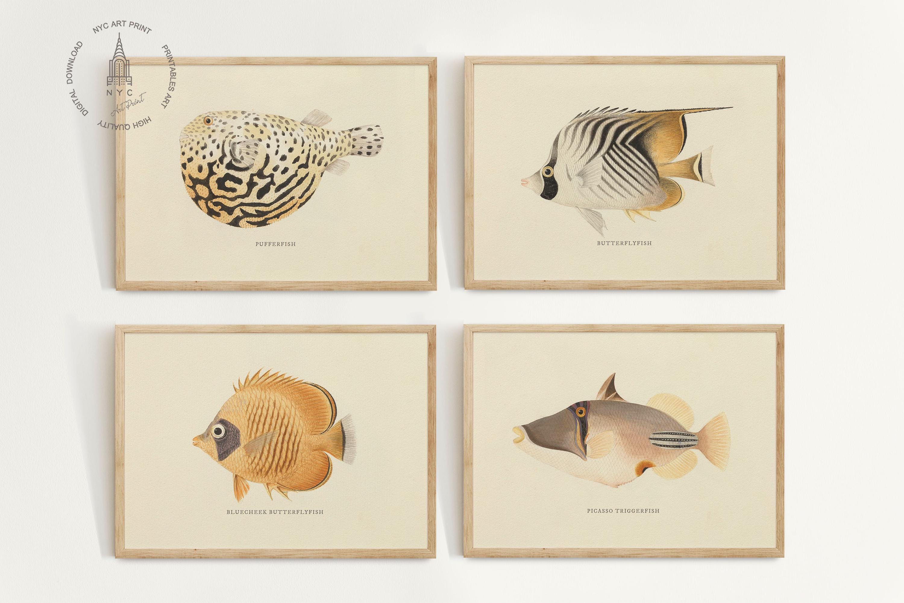 Fish Neutral Vintage Fish Gallery Wall Set of 20, Neutral Fish Prints, Fish Painting ...