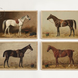 Puede incluir: Cuatro ilustraciones vintage de caballos con sillas de montar y bridas. Los caballos est&aacute;n representados en un estilo realista con detalles precisos y se colocan sobre un fondo neutro.