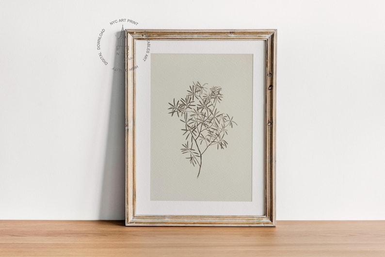 Set of 3 Vintage Botanical Prints, Vintage Neutral Botanical Prints