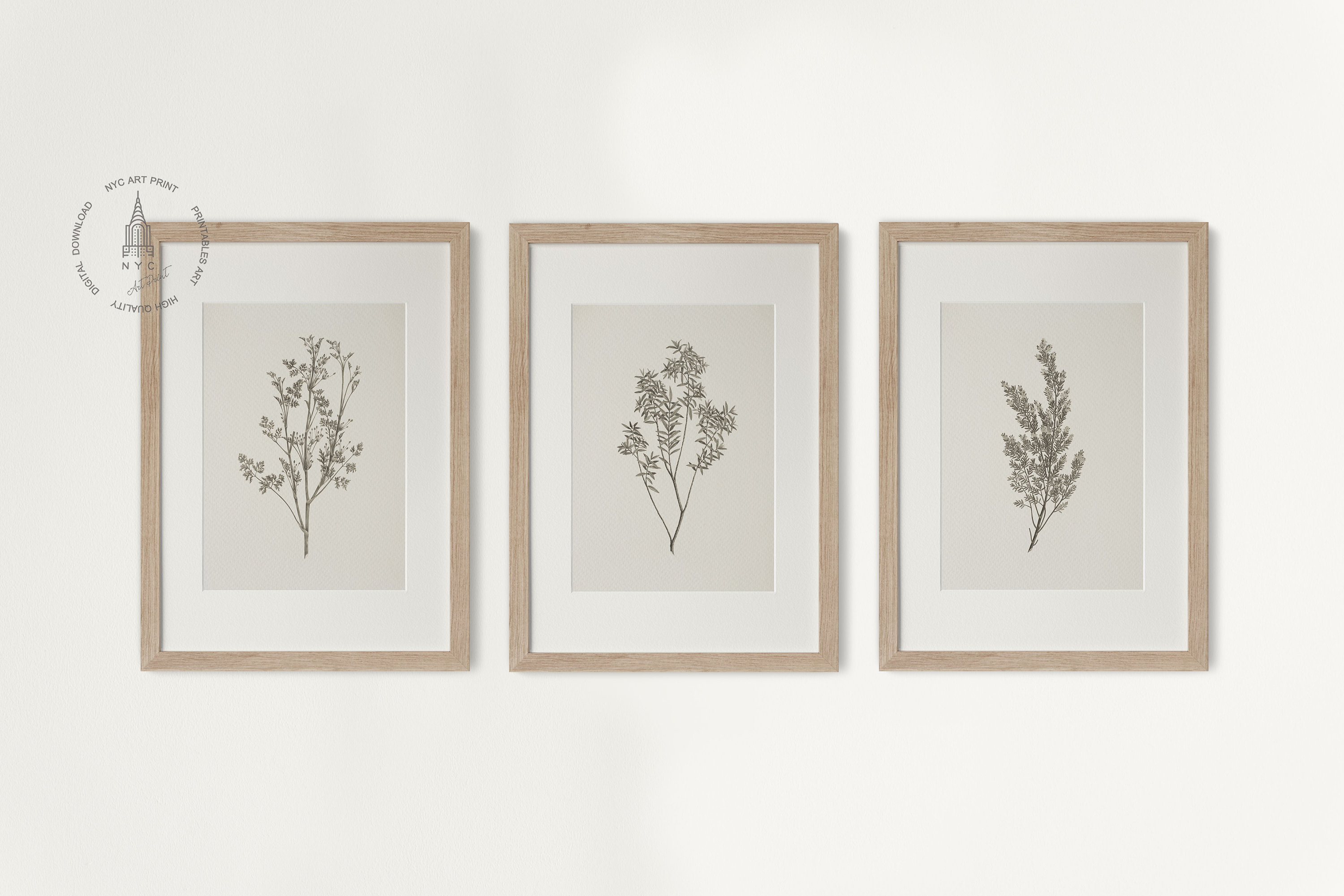Set of 3 Vintage Botanical Prints, Neutral Gallery Wall Decor, Antique ...