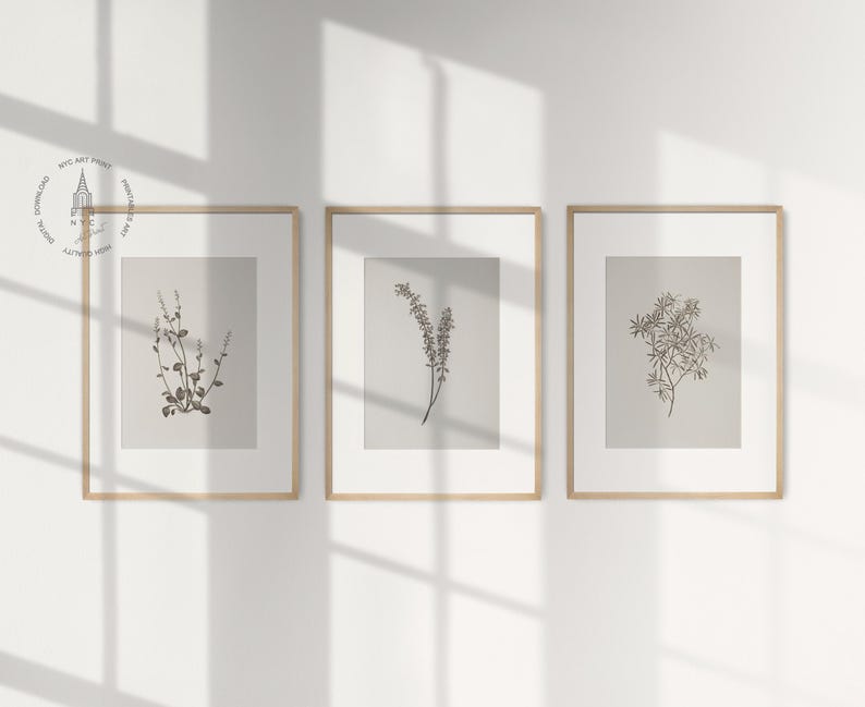 Set of 3 Vintage Botanical Prints, Vintage Neutral Botanical Prints