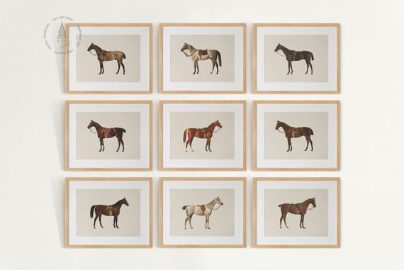 Vintage Horse Gallery Wall Set of 9, Horse Prints, Vintage Horse Painting, Equestrian Wall Art, Horse Decor, Farmhouse Decor, Horse Poster