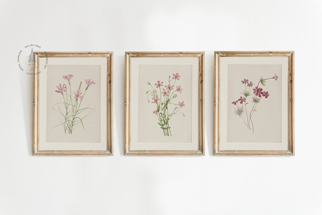 Set of 3 Vintage Botanical Prints, Pink Floral Poster, Botanical Prints ...