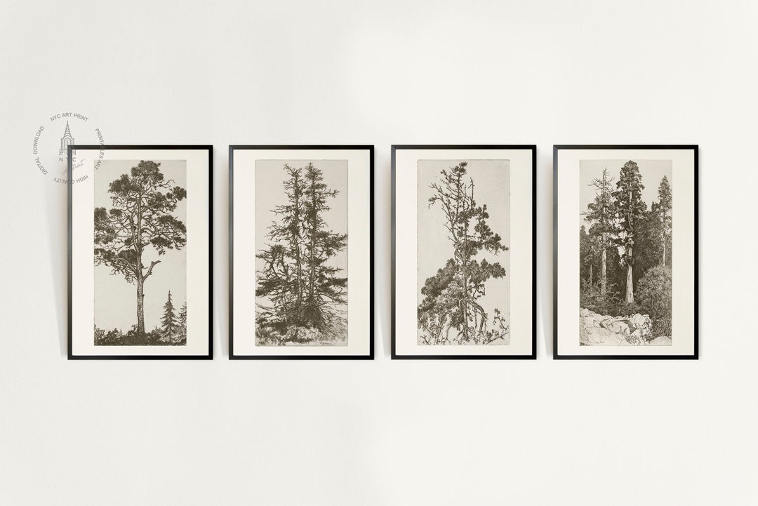 Vintage Rustic Tree Gallery Wall Set of 4, Vintage Tree Sketches