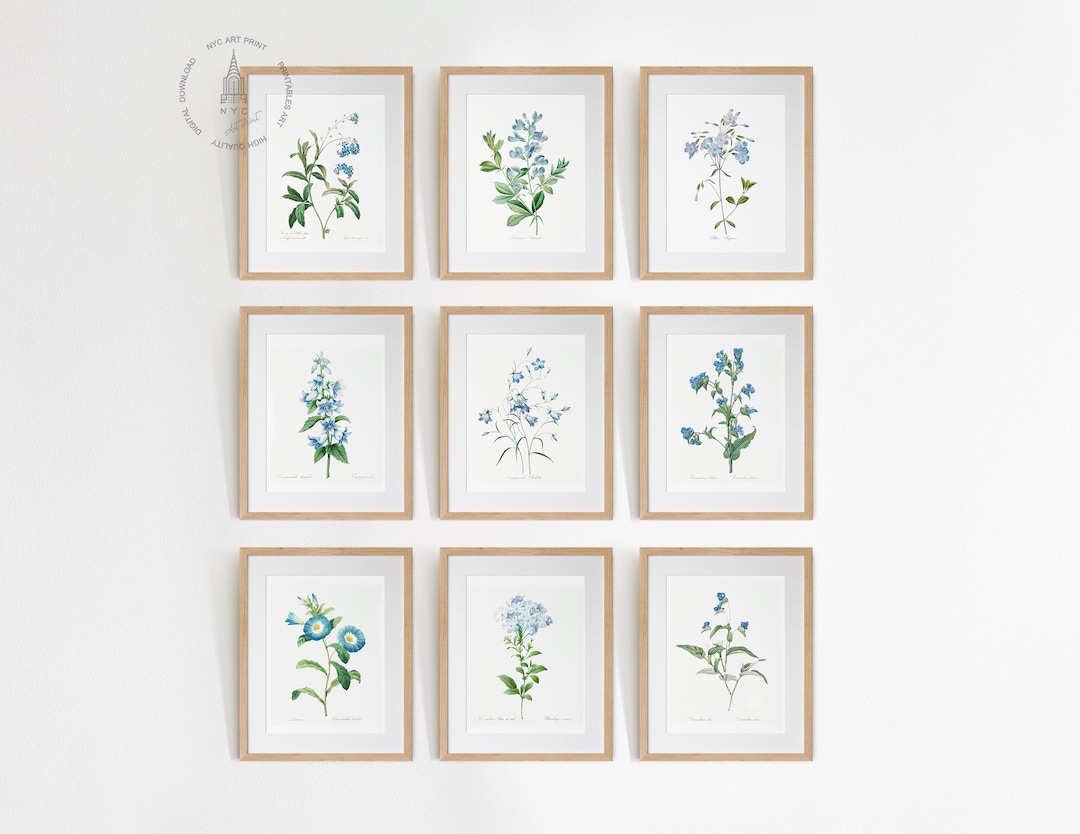 Vintage Blue Botanical Gallery Wall Set of 9, Blue Flower Art, Blue ...