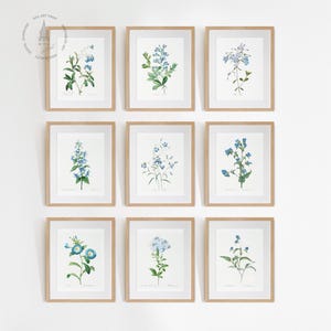 Vintage Blue Botanical Gallery Wall Set of 9, Blue Flower Art, Blue Floral Prints, French Country Prints, Blue Botanical White Background