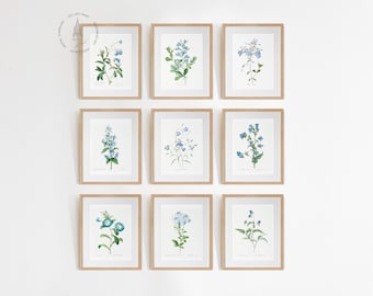 Vintage Blue Botanical Gallery Wall Set of 9, Blue Flower Art, Blue Floral Prints, French Country Prints, Blue Botanical White Background