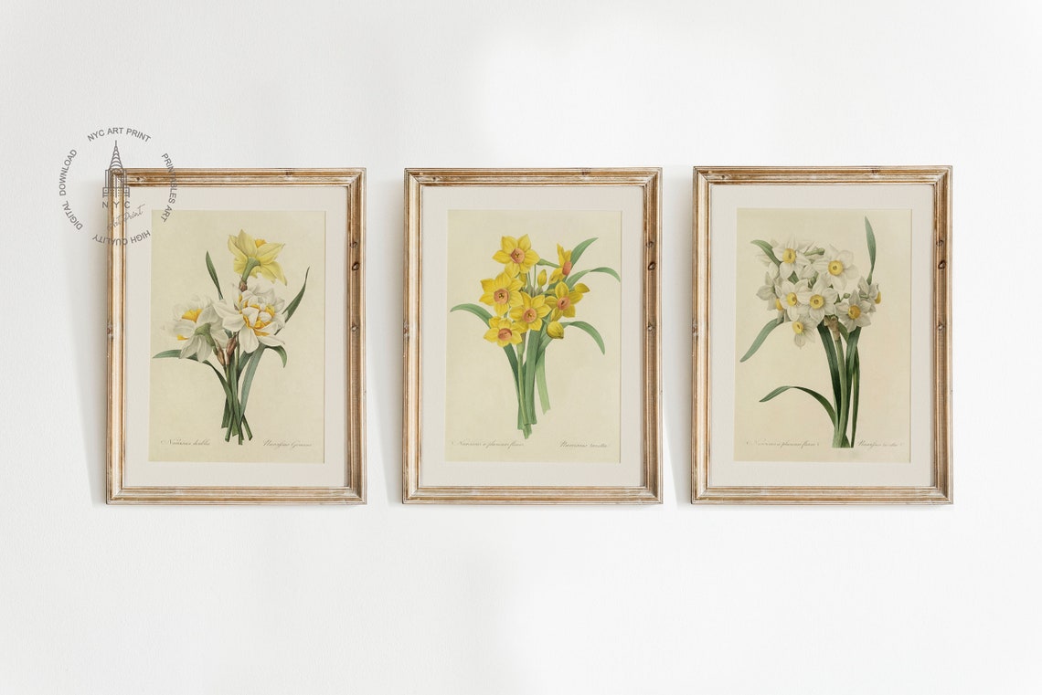 Vintage Spring Flowers Gallery Wall Set of 9, Spring Botanical Prints ...