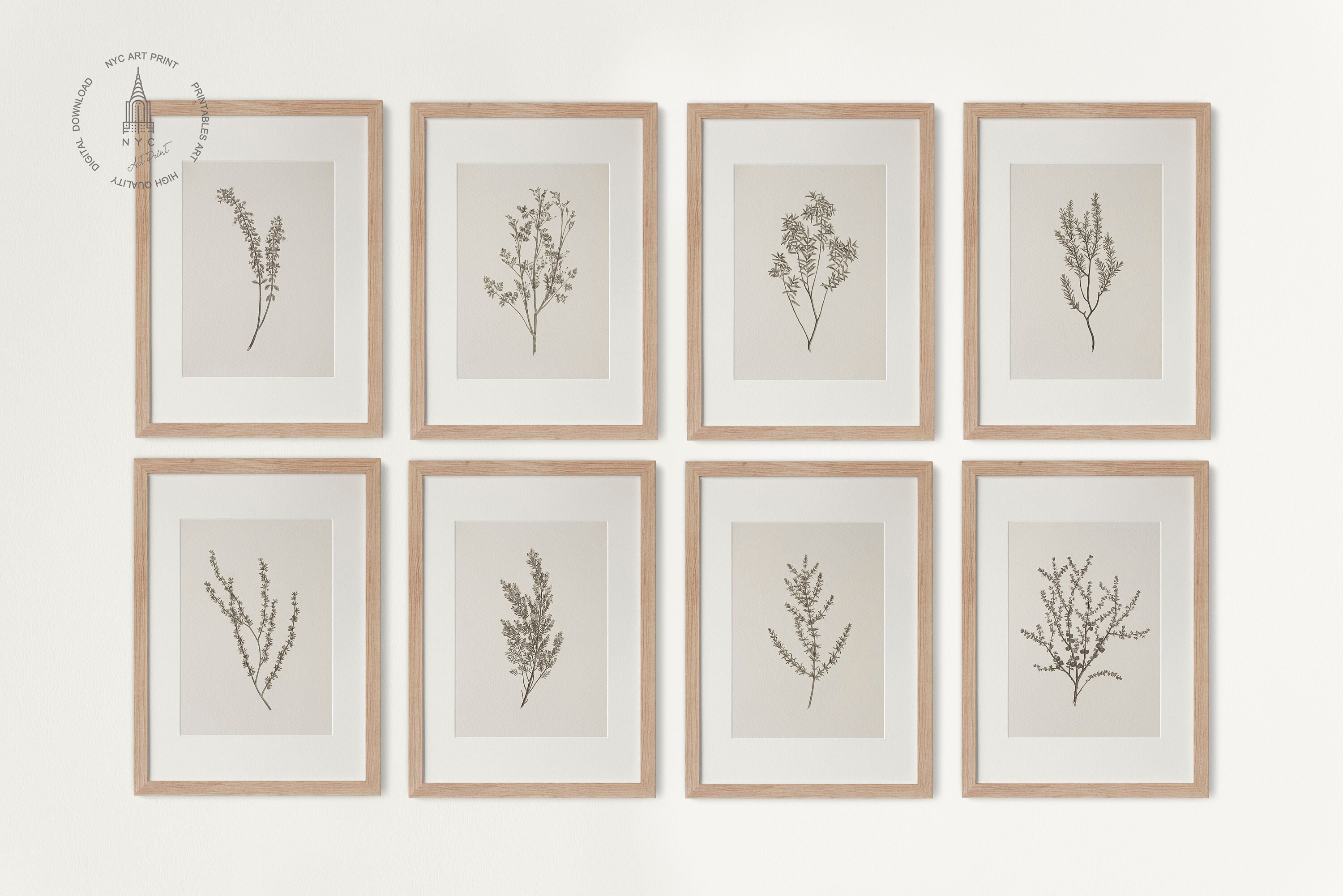 Vintage Botanical Prints Gallery wall Set of 8, Vintage Neutral Botanical prints, Antique Botanical Prints, Rustic Botanical wall Art