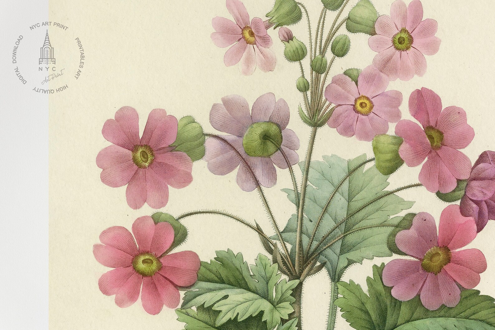 Vintage Spring Flowers Gallery Wall Set of 9, Spring Botanical Prints ...