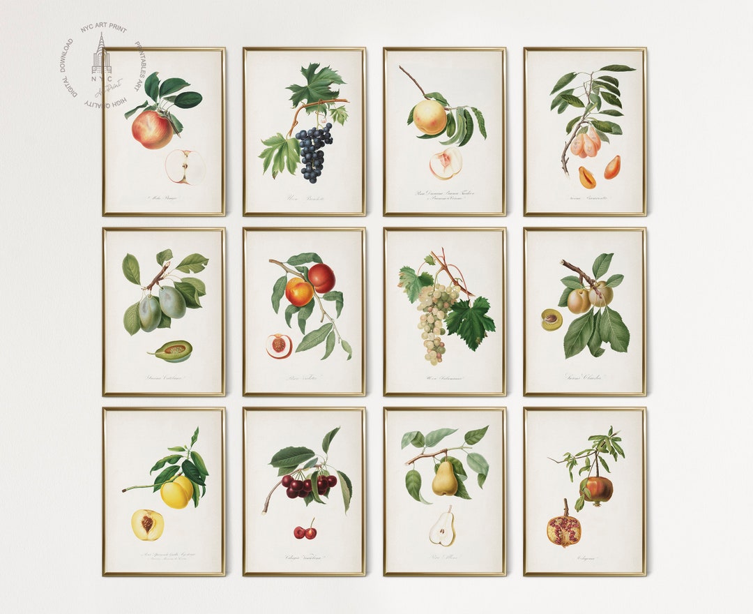 kitchen gallery wall art set of 6, vintage fruit... Vintage Kitchen Gallery Wall Set of 12 , Fruit Painting, Antique Fruit ...