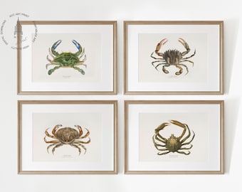 Láminas artísticas de cangrejos del Atlántico (juego de 4), decoración vintage de vida marina (descarga digital)