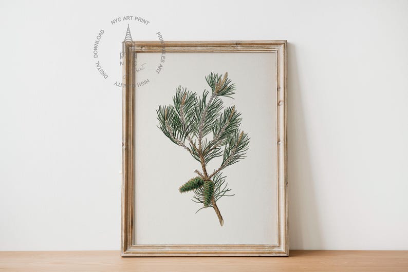 May include: Framed botanical print featuring a detailed illustration of a pine branch with green needles and a cone. The artwork is set against a neutral background and framed in a rustic, light-colored wooden frame. The print is labeled "NYC ART PRINT".