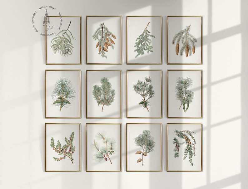 Natural Christmas Prints | Set of 12 Vintage Fir Pine Wall Artworks | Vintage Forest Art | Digital Download | winter farmhouse wall art