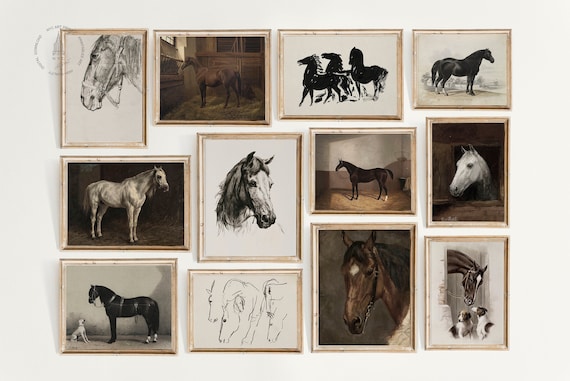 Set of 12 Vintage Horse, Horse Prints, Vintage Horse Painting, Equestrian Wall Art, Horse Decor, Rustic Decor,Horse Poster