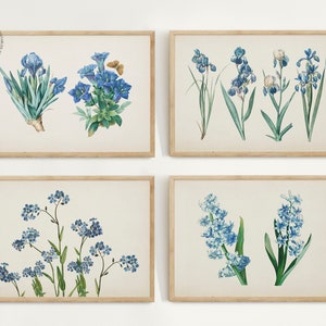 Vintage Botanical Prints Gallery Wall Set of 10, Blue Floral Poster ...