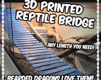Reptile/Bearded dragon bridge