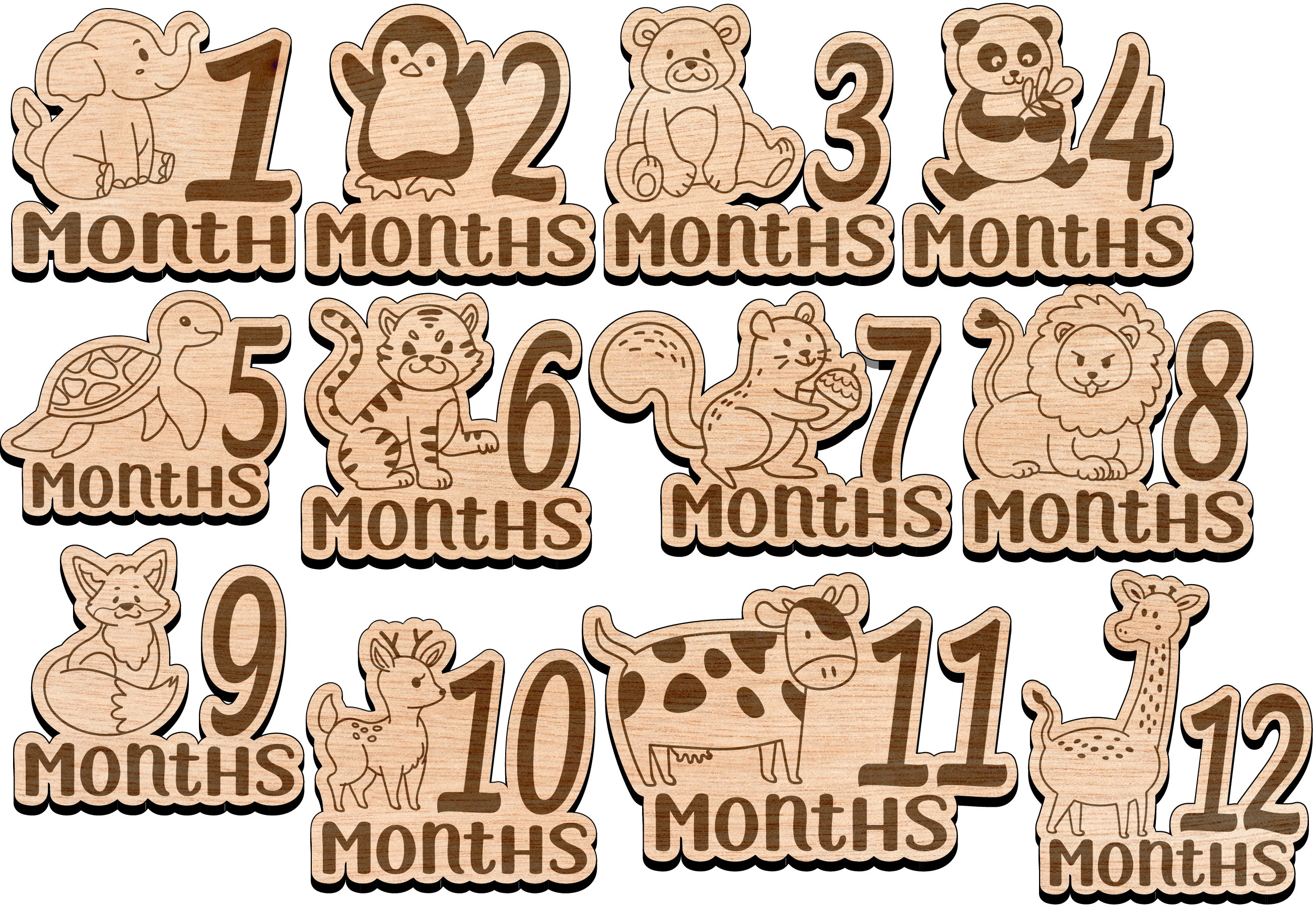 Baby Milestone SVG Safari Month Photo Marker Animal JUNGLE Safari for ...