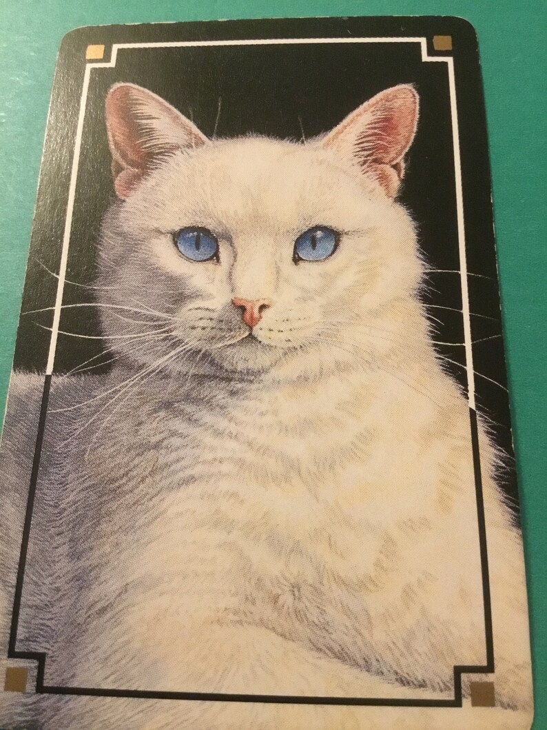 NOS Vintage playing cards white cat blue eyes