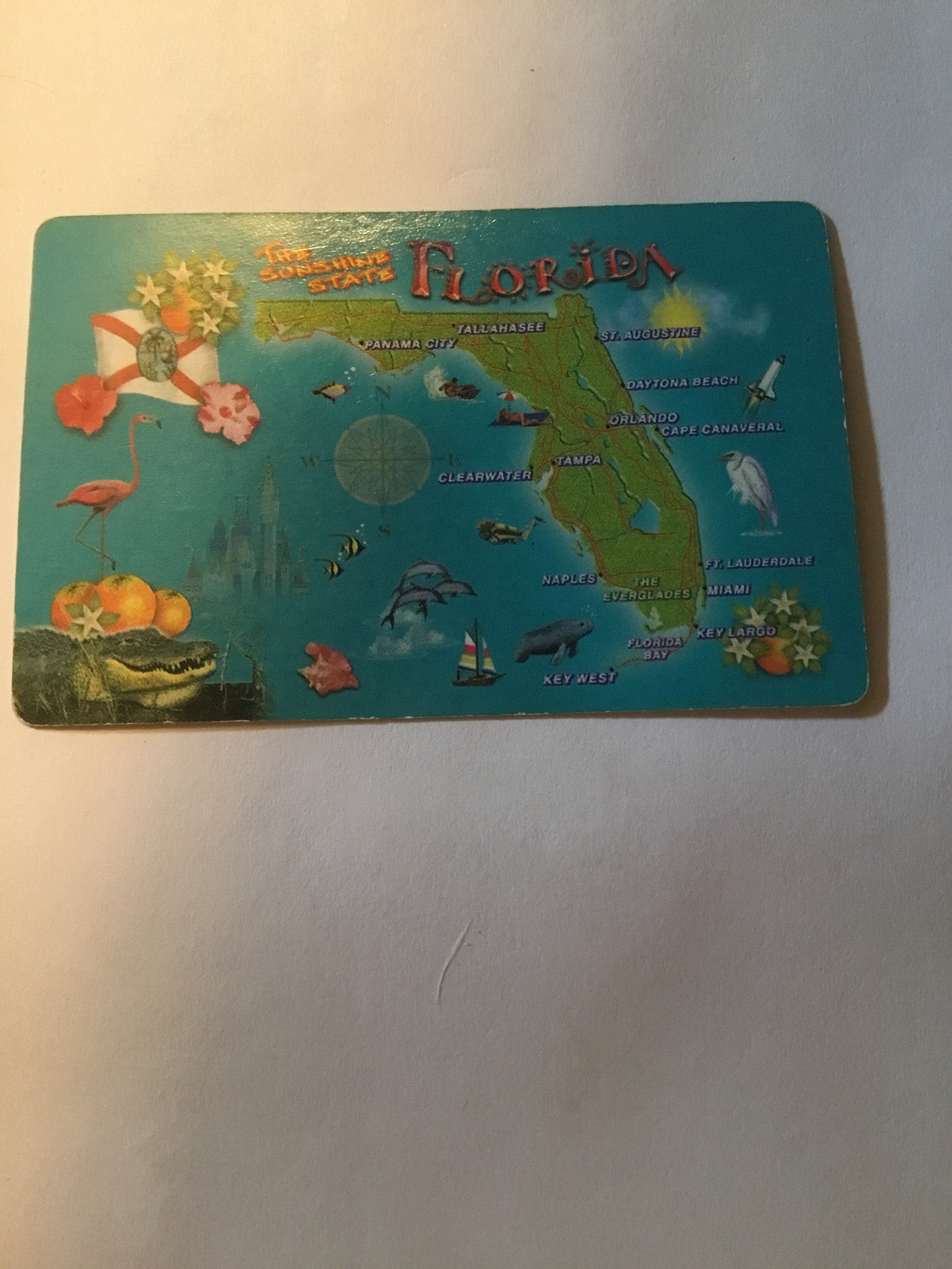 Nos Vintage Playing Card State of Florida Souvenir Card Etsy