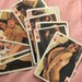 NOS  early  Vintage nude playing cards swap card junk journal scrapbooking 