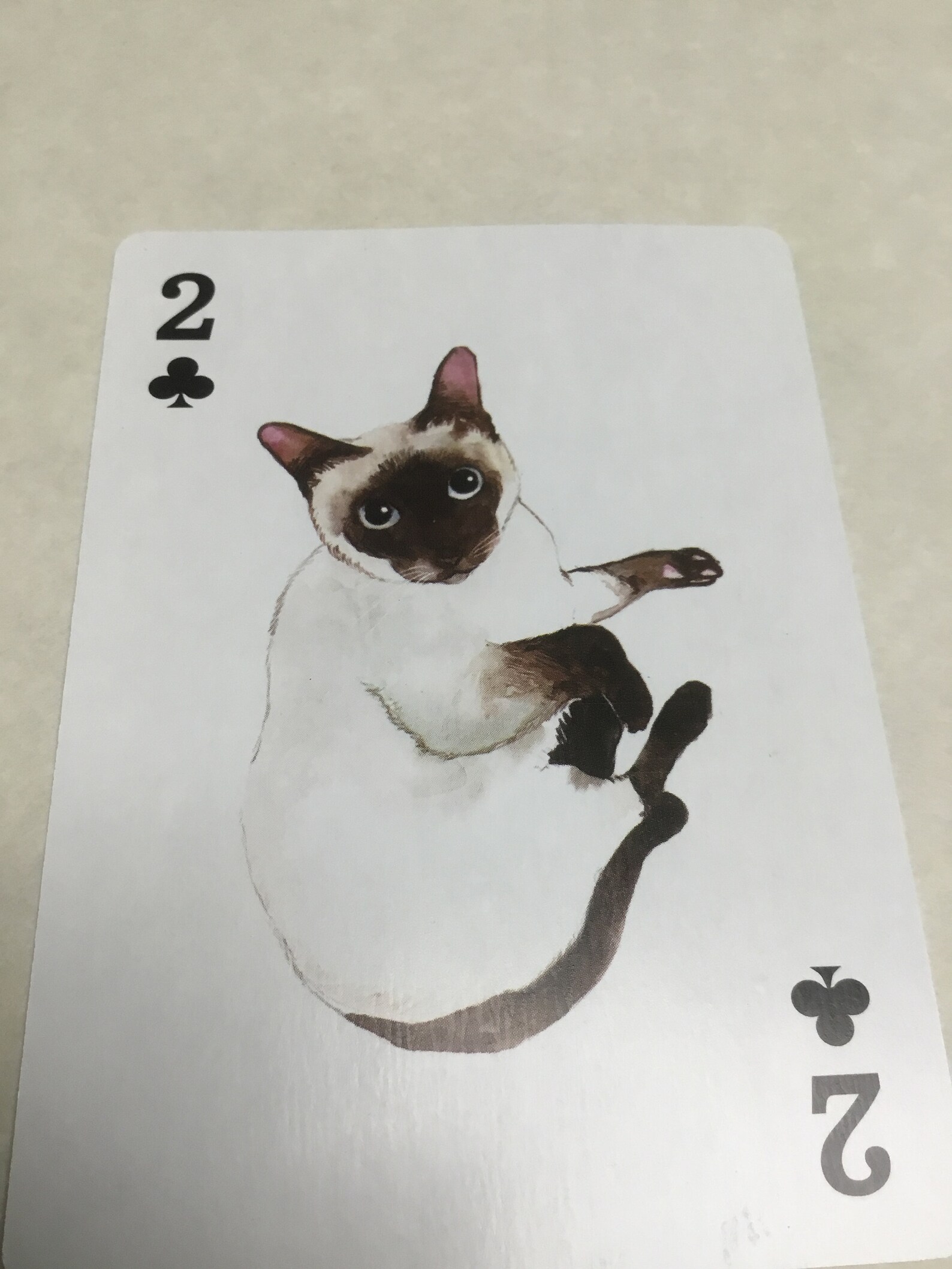 NOS Vintage Playing Cards Cats Etsy